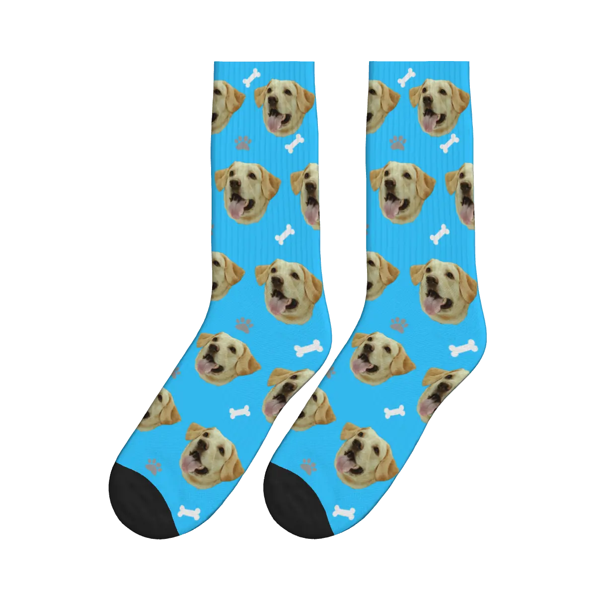 Pawsy dog socks best sale