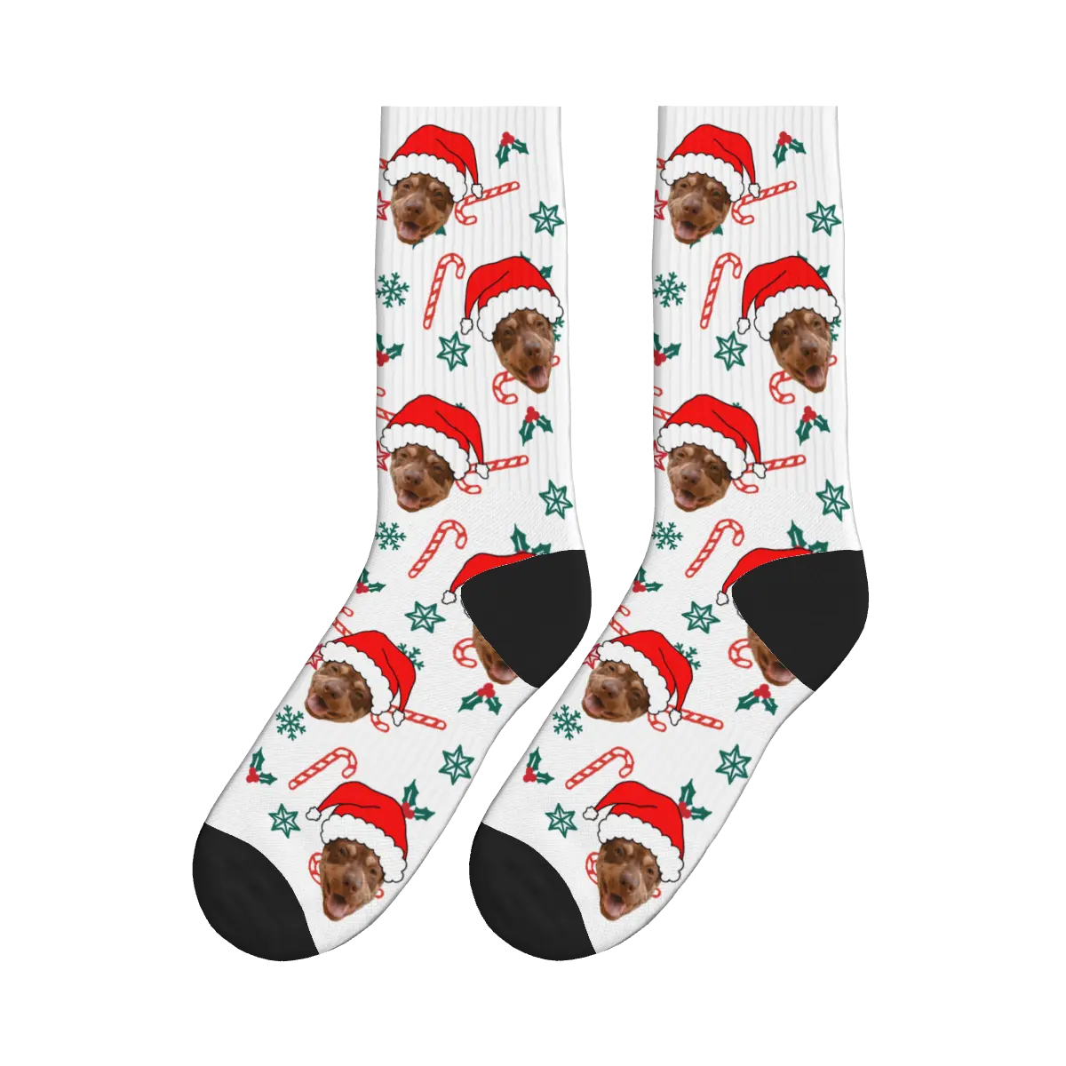 Dog Faces with Christmas Hat Socks