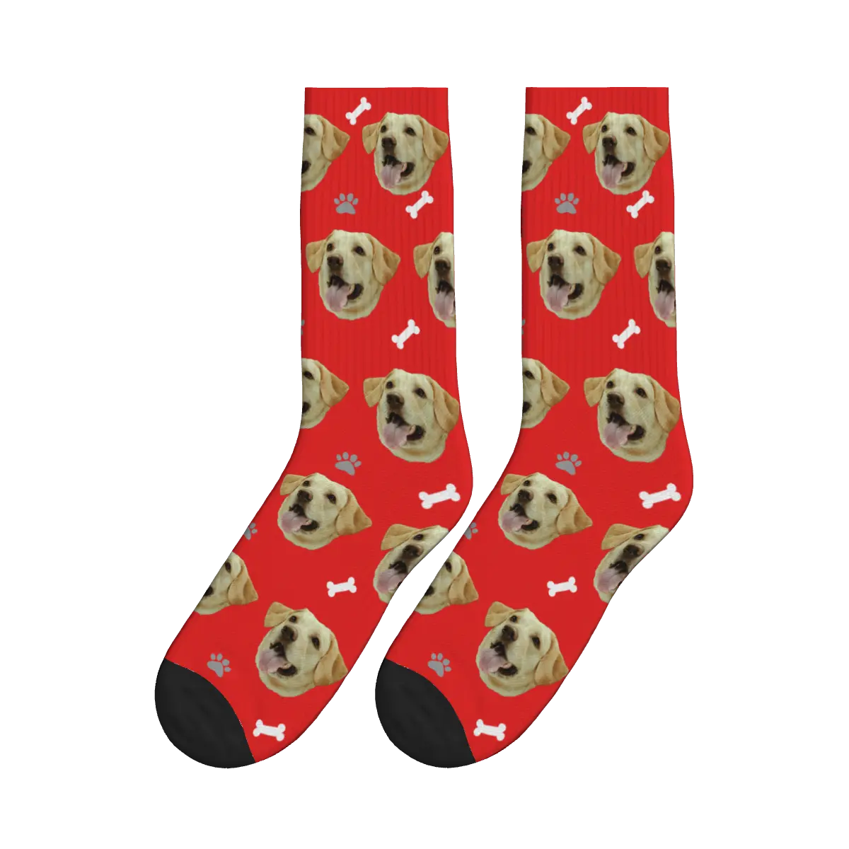 Dog Faces, Paws & Bones Socks