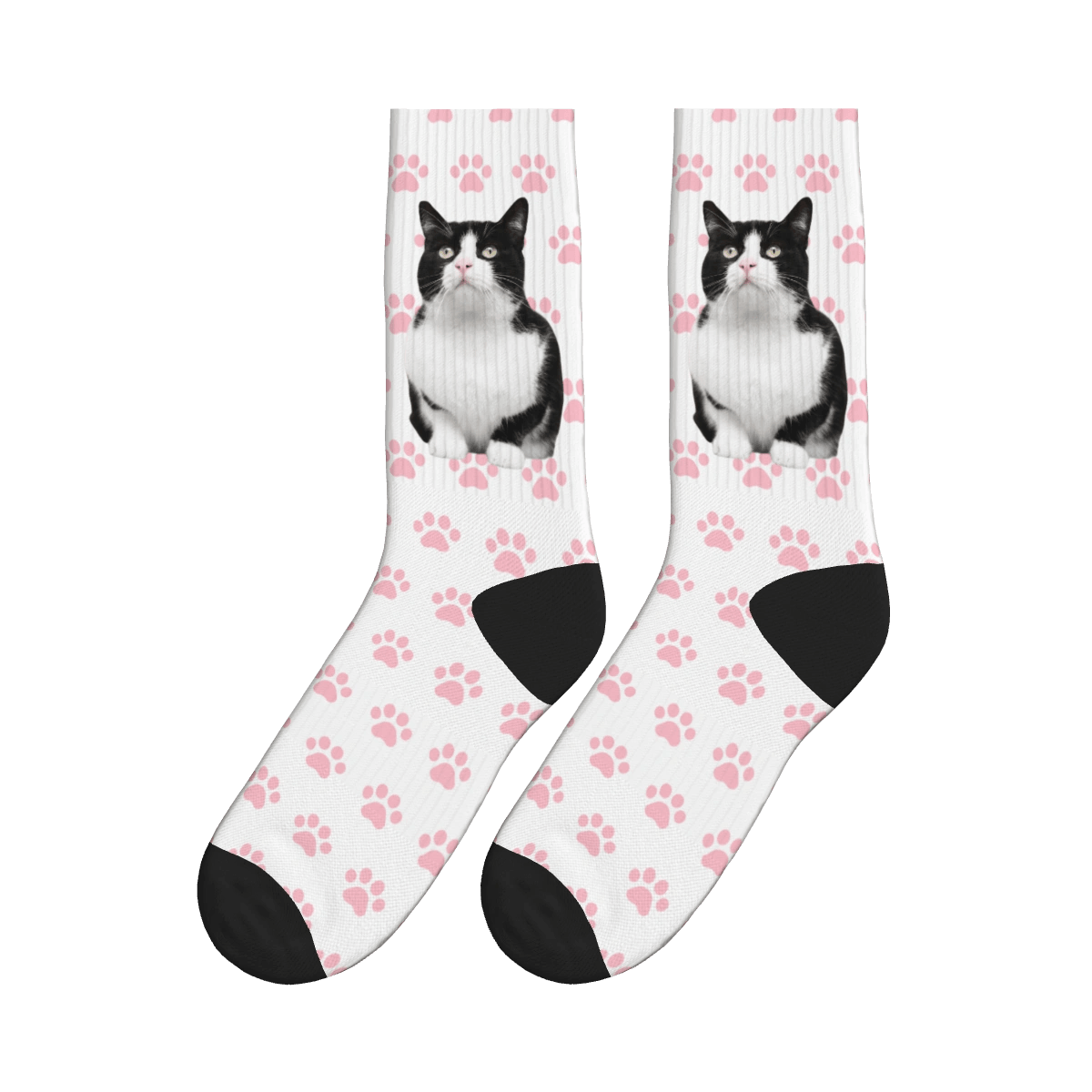 Custom Cat Socks Online Store KittySocks