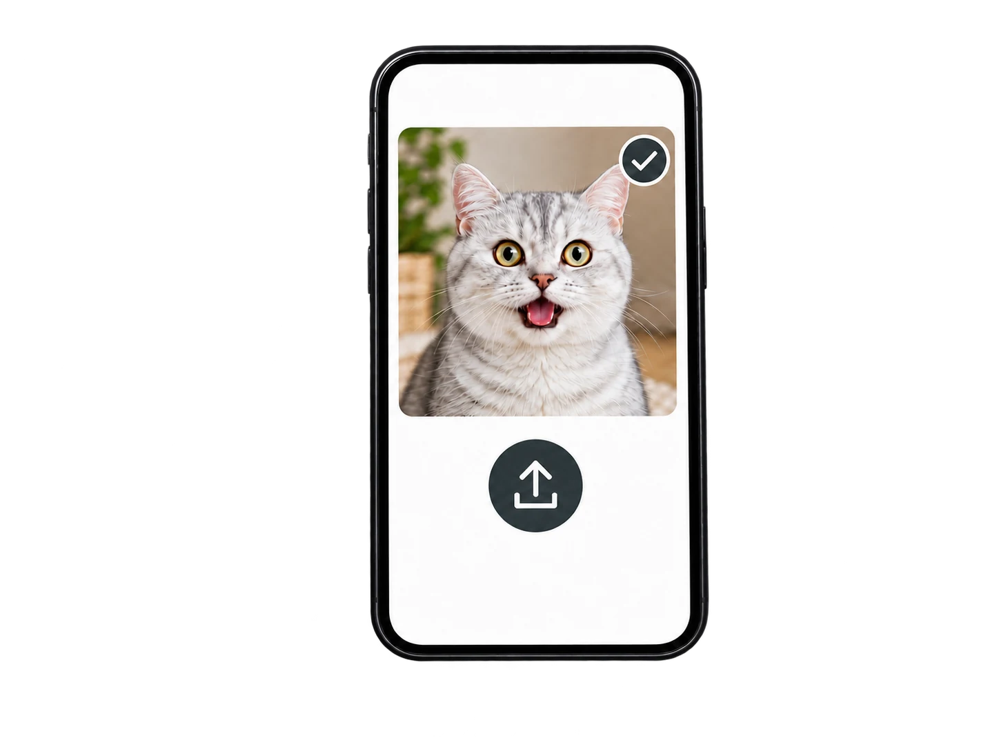 Selecting a clear cat photo to upload